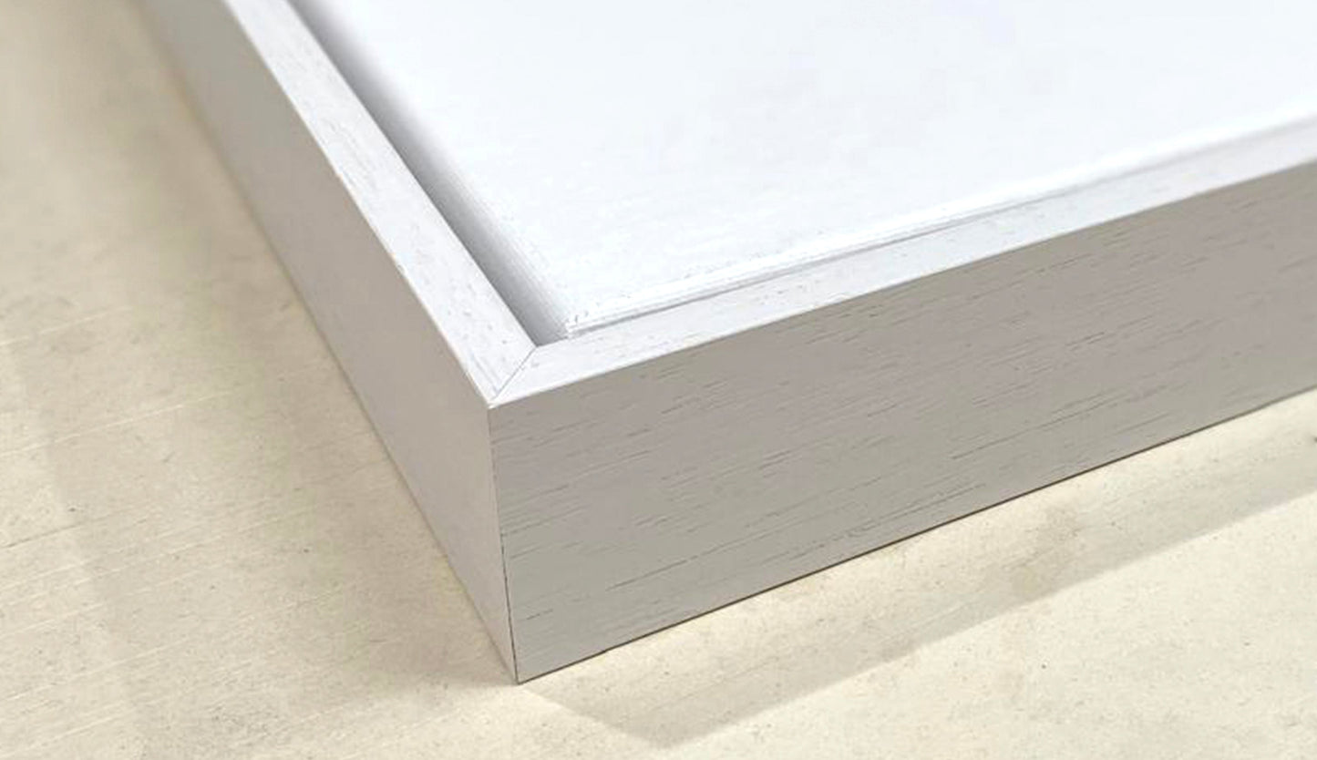 PROFESSIONAL ARTIST A2 CANVAS AND TRAY FRAME