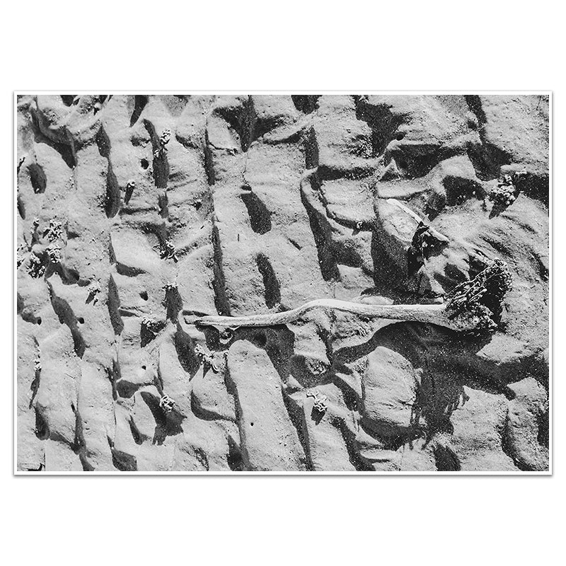 A WALK ON THE SANDS - Sincerely Frank Art