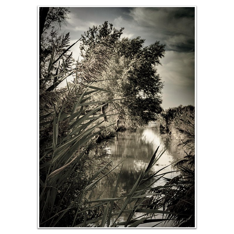 CANAL CARMARGUE - Sincerely Frank Art