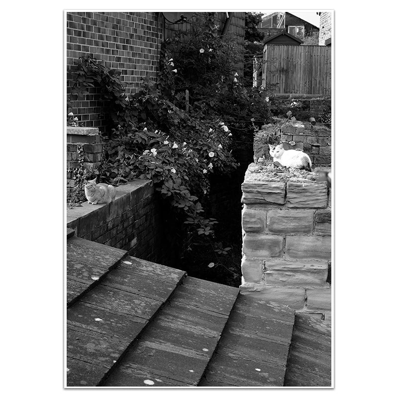 GUARDIANS OF THE GINNEL - Sincerely Frank Art