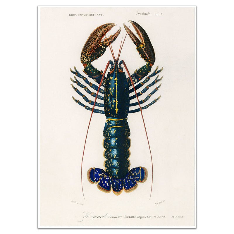 LOBSTER - Sincerely Frank Art