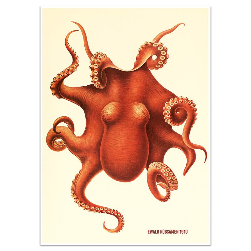 OCTOPUS - Sincerely Frank Art