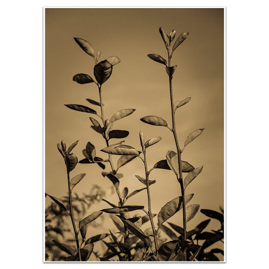 SEPTEMBER IN FRANCE - Sincerely Frank Art