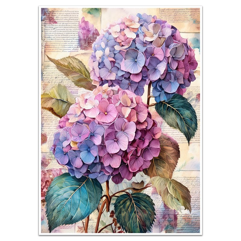 VINTAGE HYDRANGEA - Sincerely Frank Art